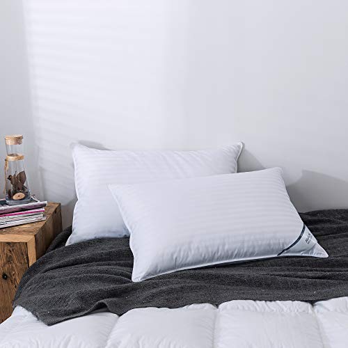 Analin, 2 paia di cuscini in piuma d'oca, 100%