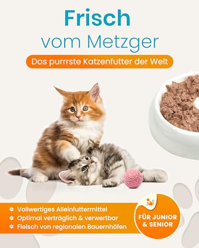 Lucky Kitty Katzenfutter Nass, 95% Fleisch I Katzenfutter ohne Getreide & Zucker, Lebensmittelqualität I Nassfutter für Katzen & Kitten, Keine Zusätze I Katzennassfutter Made in Germany I 8x200g Mix