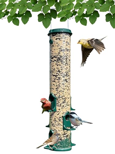 Backyard Essentials Tube Bird Feeder - 6 Port Mammoth Green Tube Feeder with Metal Cap, Perches and Ports - Holds 10 Cups of Wild Bird Seed