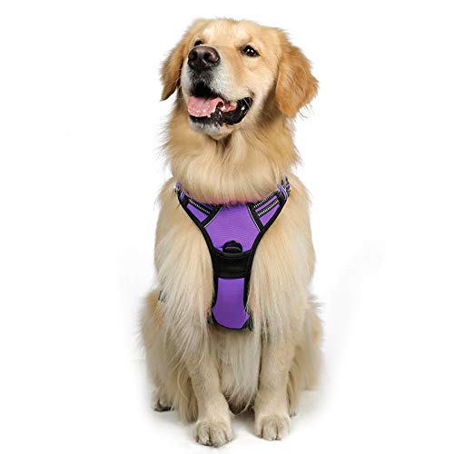Compare Price dog harness purple on