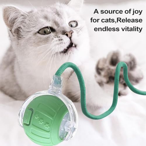 Bola interactiva para gatos con orbe motorizado ABS interactivo 3