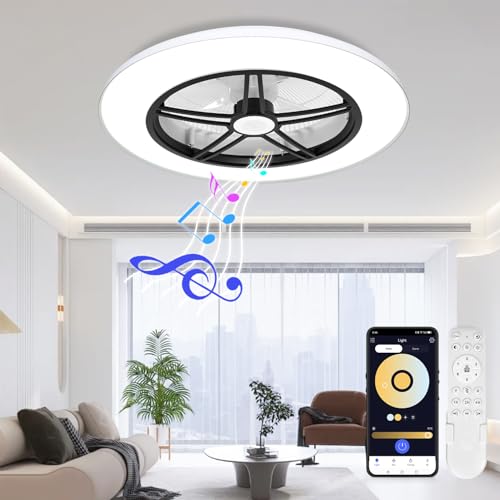 BAYSQUIRREL Bluetooth Bladeless Ceiling Fan With Speaker, Low Profile Ceiling