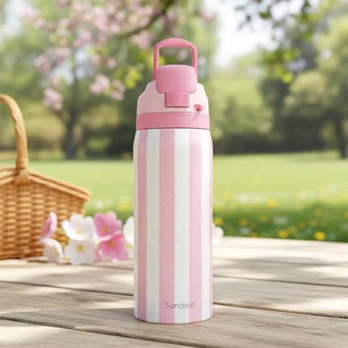 Image of Stripe Insulated Stainless Steel Water Bottle with Straw, Push-Button Lid, 32 Ounce, Gifts for Women Girls Friends Teens Birthday Christmas (Pink)