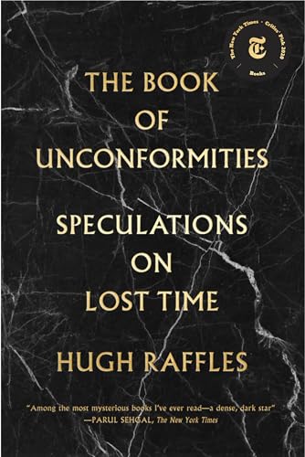 The Book Of Unconformities: Speculations On Lost Time