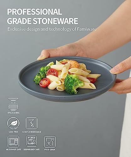 Famiware Dinner Plates Set Of 6, 10.25 Inch Large Plate Set, Kitchen Porcelain Serving Dishes With Spots, Scratch Resistant, Microwave, Oven, And Dishwasher Safe, Charcoal #TOP2