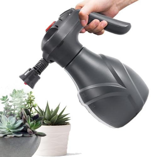 Bouteille de mousse à pompe 2L avec jet ajustable pour auto