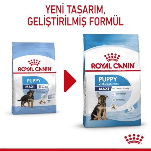 Image of Royal Canin Maxi Puppy Food, Dry Food, Supports Immune System & digestive health, Provides Long growth, moderate energy, 15 Kg