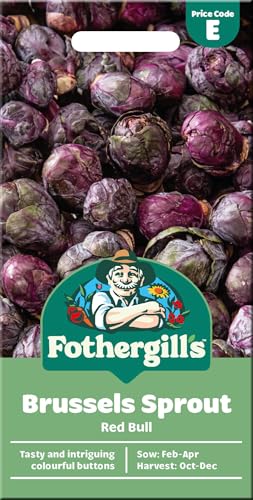 Fothergillâ€™s Red Bull Brussels Sprout Seeds for Plant