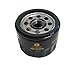 John Deere Original Original Equipment Oil Filter - AM125424 (1)