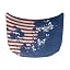 American Flag Butterfly