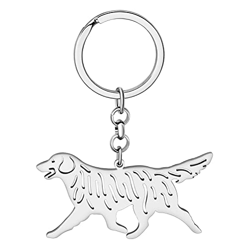 DALANE Llaveros Acero Inoxidable Perro Pastor Alemán Australiano Cachorro Border Collie Llavero Coche Regalos para Mujeres Niñas (Golden Retriever Plateado) DALANE Llaveros Acero Inoxidable Perro Pastor Alemán Australiano Cachorro Border Collie Llavero Coche Regalos para Mujeres Niñas (Golden Retriever Plateado)