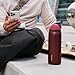 Owala FreeSip Insulated Stainless Steel Water Bottle with Straw, BPA-Free Sports Water Bottle, Great for Travel, 32 Oz, Black Cherry