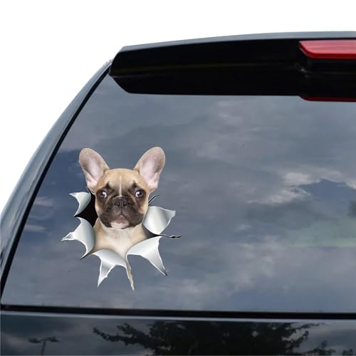 Projete as suas próprias decalques para automóvel, decalques de vinil personalizados para janelas de automóveis, resistentes à descoloração e às intempéries, 7 tamanhos