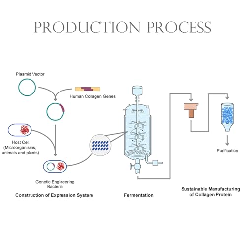 Pó tipo colágeno: proteína ativa, ingrediente cosmético para melhorar a firmeza da pele, reparação d