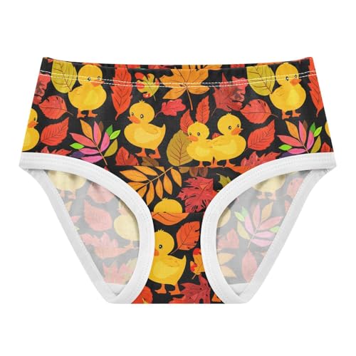 Cute Duck Toddler Girls's Underwear 2T 202c1818