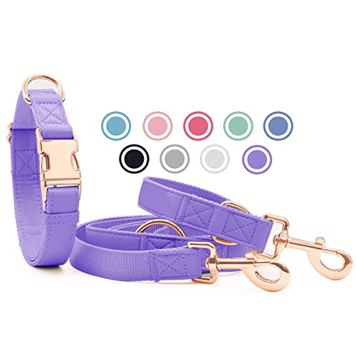 Set di collare e guinzaglio per cani in morbida pelle (2 m), regolabile in 3 posizioni, con collare, elegante fibbia in metallo oro rosa e nylon, per cuccioli, cani di taglia piccola, Heviola, XS