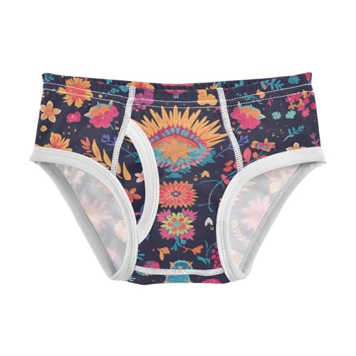 Mexican Fabric Pattern Colorful Toddler Boys' Soft Kids Underwear Cute Undies