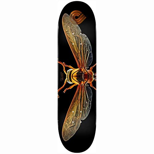 Powell-Peralta Skateboard Deck Biss Potter Wasp 8.0" x 31.95"
