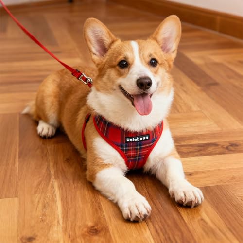 Hundegeschirr Kleine Hunde,Sicherheitsgeschirr Brustgeschirr Welpengeschirr Hundeleine Zuggeschirr Hundeweste Antiziehgeschirr Hundegurt Panikgeschirr Mitwachsend Gepolstert Kleine Hunde (Rot, S)