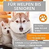 AMATHINGS Hundespielzeug Set Doppelpack Snackball und Snackrugby – Futterspielzeug Hund für intelligentes Spielen – Snackball Hund aus 100% Naturkautschuk – Leckerli Spielzeug für Hunde