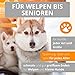 AMATHINGS Hundespielzeug Set Doppelpack Snackball und Snackrugby – Futterspielzeug Hund für intelligentes Spielen – Snackball Hund aus 100% Naturkautschuk – Leckerli Spielzeug für Hunde