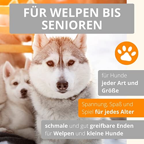 AMATHINGS Hundespielzeug Set Doppelpack Snackball und Snackrugby – Futterspielzeug Hund für intelligentes Spielen – Snackball Hund aus 100% Naturkautschuk – Leckerli Spielzeug für Hunde