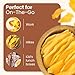 Wellsley Farms Dried Mango Slices - Non-Acidic Soft Chewy Dry Mango - Fat Free & High in Vitamin C - Good Source of Fiber - Dried Mango Snacks in Resealable Pouch for Travel & Lunch - 30oz (1 Pack)