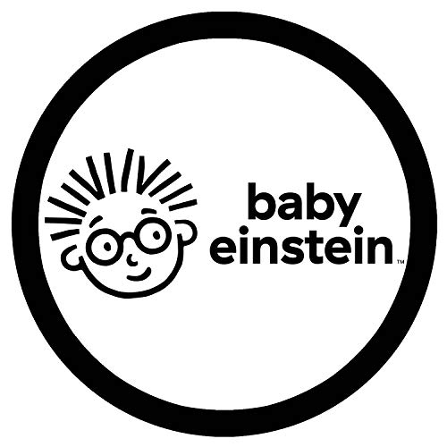 Baby Einstein Big and Little Chunky Lift a Flap Board Book: An Opposites Book