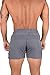 YoungLA Men's Bodybuilding Gym Running Shorts 101 | All Grey X-Large