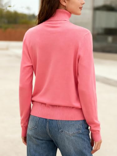 Image of DAIMIDY Turtleneck Sweaters for Women Long Sleeve Pullover Tops | Knitted Material| Soft, Warm and Breathable| High Resilience and Tensile Strength Design| Business Casual Tops| Dailywear