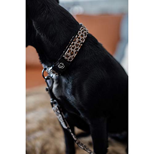 Collier pour chiens facile à laver pour petits chiens Leopard S - 3