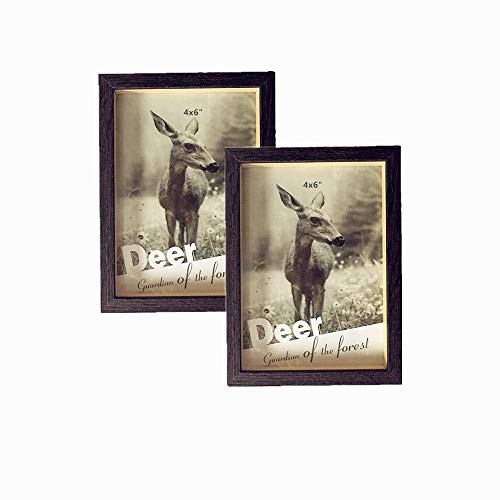 Leoyoubei 4x6-inch Picture Frame Shadow Box Pack of 2,(Easy to Change Photos) with Glass Front for Desktop and Wall Hanging Display Collectibles,Plant Specimen Kid's Souvenirs and Photos Dark Brown