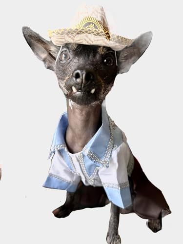 Disfraz de vaquero para perro pequeño miniatura 3