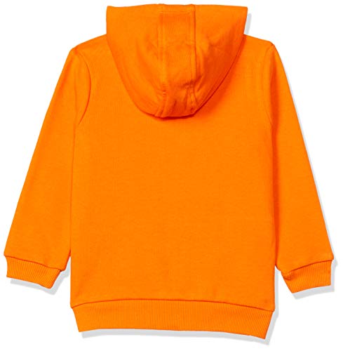 Image of LC WAIKIKI Boys Jacket