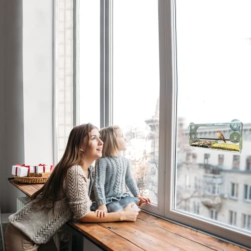 Birdwatcher's Paradise Bundle: Innovative Window Bird Feeder Combo