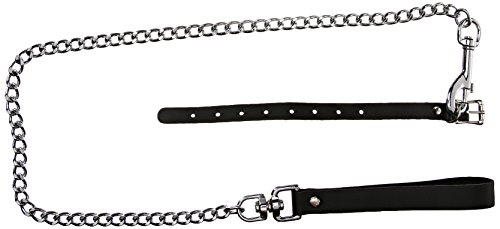 KinkLab Buckling Cock Ring and Chain Leash Set