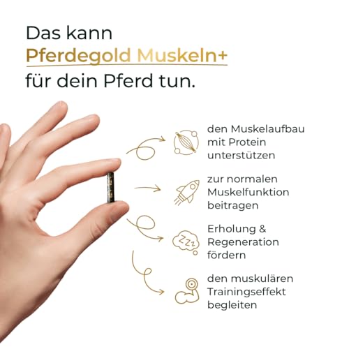 Pferdegold Muskeln+ – Proteinreiche Pferde‑Pellets (52 % Rohprotein) mit 21 Aminosäuren, Spirulina & Chlorella – ADMR‑konform, dopingfrei (750 g)