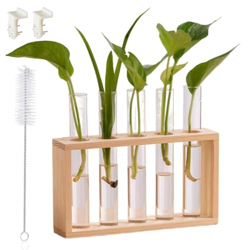 ǃKXԕr KXԕr ؐt[  k͔|   Ǌ|  z[ItBX 5{i؂̐Fj