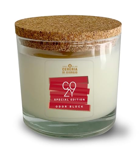 Candela in bicchiere 100% cera vegetale e vegana - Oli essenziali profumati Arancia e Cannella - Mangia odori - Odor Block - Durata 50 ore - Made in Italy - Cereria di Giorgio