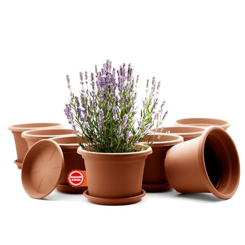 BigDean 8 Stück Blumentopf mit Untersetzer rund ø 25 cm Terrakotta – wetterfester Pflanzkübel Made in Europe