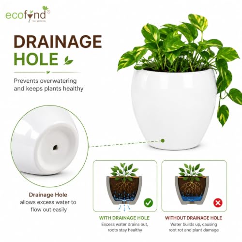 Image of ecofynd 5.1 Inch Ceramic Plant Pots with Drainage Hole, Modern Decorative Clay Flower Pots for Indoor Plants, Home Garden Decor for Living Room, Bedroom & Interior Spaces (Pack of 2, CPOT047-WHT)