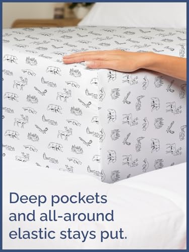 Image of Kids Twin Size Forest Bed Sheets - 3 Piece Kids Forest Sheet Set | Forest Themed Bedding, Ultra-Soft, Cute & Cozy, Breathable & Machine Washable, Kids Bed Set for Boys, Girls, Teens & Toddlers