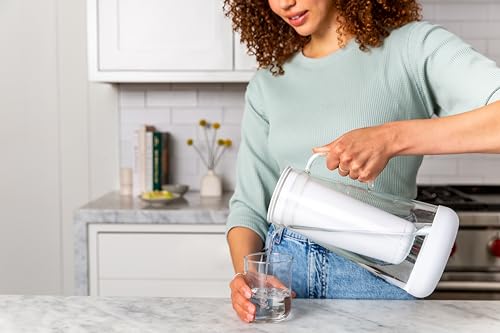 LifeStraw Filter Strengths and Trade-Offs