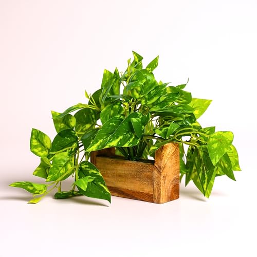 fancymart Artificial Money Plant with Woodlog Pot with Height 18 cm use as a Hanging or Tabletop for Home & Office Décor