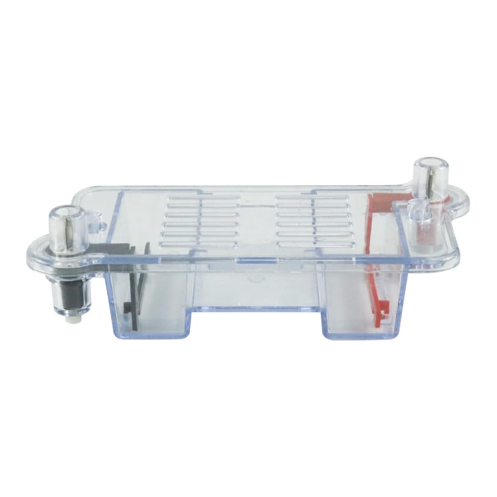 XIAOJUN Tanque de Electroforesis Horizontal para Educación y Biología
