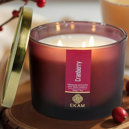 Image of EKAM 3 Wick Soy Wax Scented Candle | Cranberry Fragrance | 35 Hr Burn | Long Lasting Premium Jar Candle for Home Decor, Relaxation & Gifting