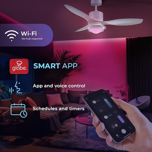 Smart Ceiling Fan with Voice Control