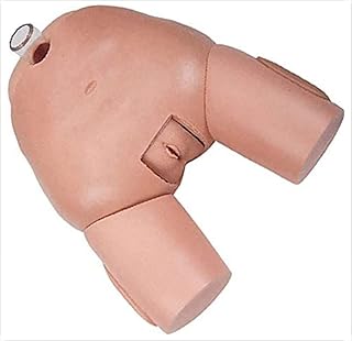 Manikin Teaching Model Bladder Puncture Model Female Genital Anatomy Urethral Catheterization Reproductive System Anatomy Nursing School Supplies