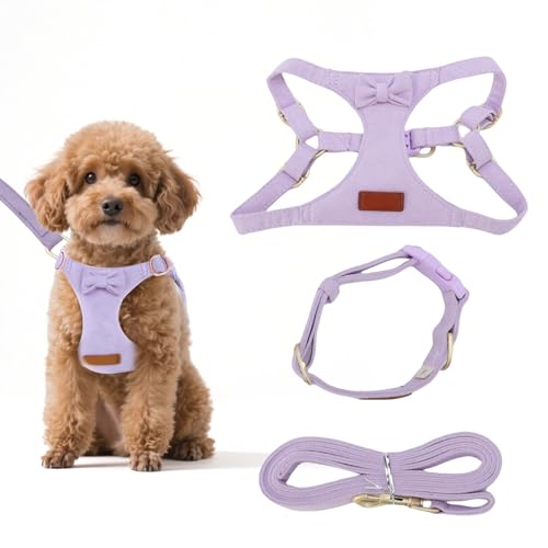 Pettorina per Cane Taglia Piccola Con Guinzaglio, Antifuga Regolabile per Bulldog Francese Chihuahua, Ideale per Passeggiate Corsa (Purple, XXS)