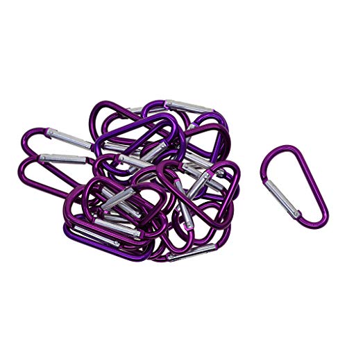 F Fityle 20pcs Pequeno Mosquetão D Anel De Escalada Snap Gancho Camping Chaveiro Lote Cadeia